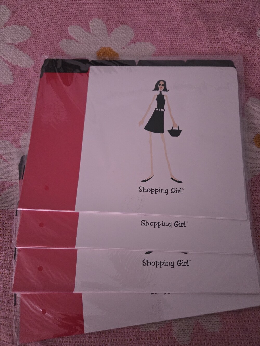 The Girls Red & Black 'Shopping Girl' File Folders